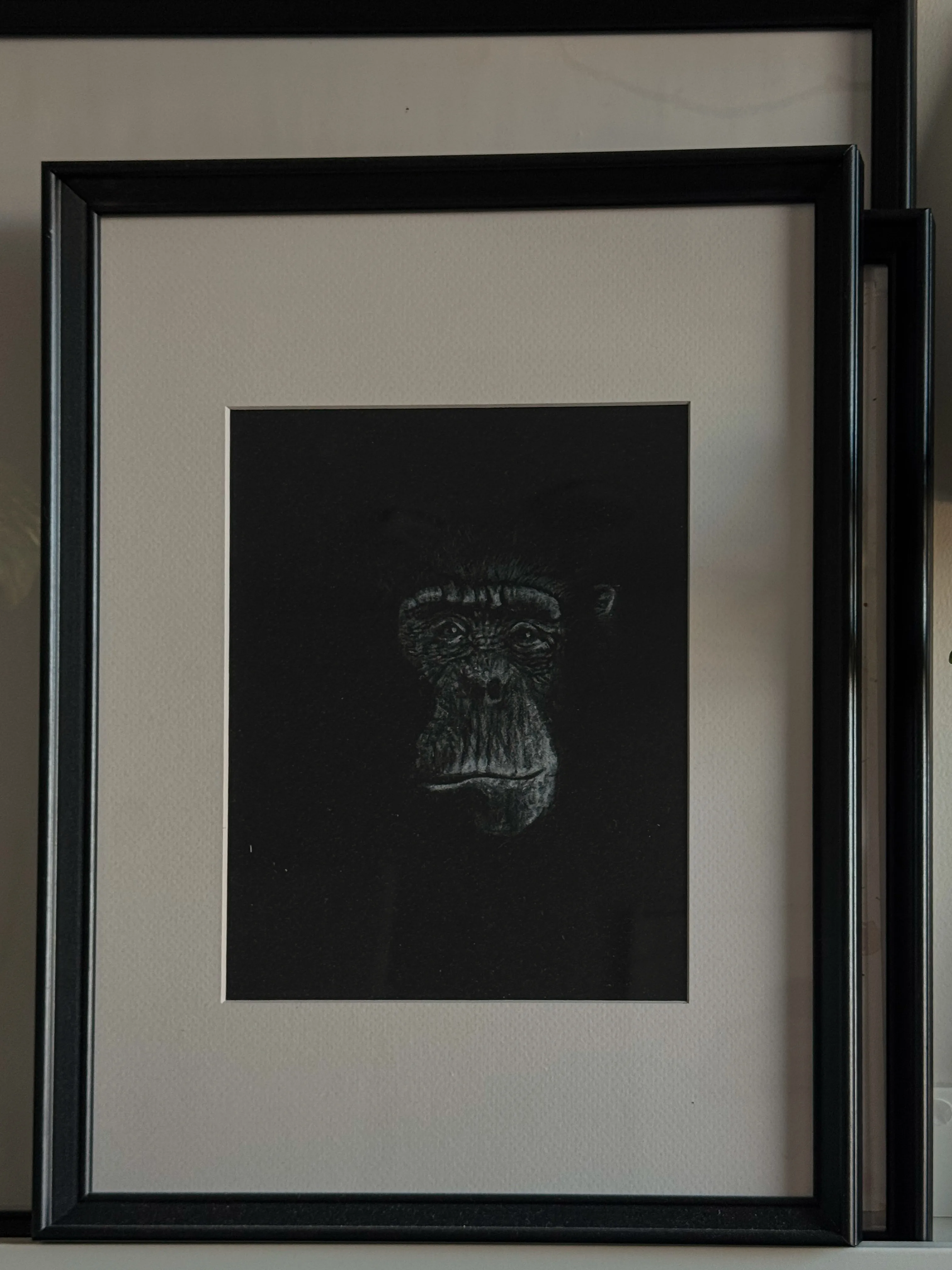 Jane G. — Color pencil on paper